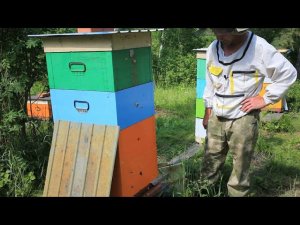 изоляция маток при роении