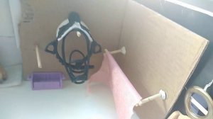 Обзор на КСК Schleich, КСК Созвездие