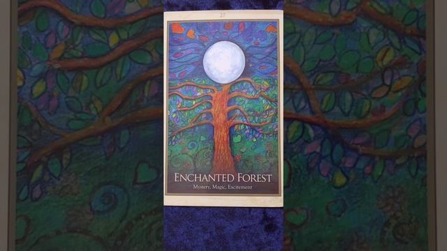 Enchanted Forest ? Gaia Oracle Card Meaning смотреть онлайн