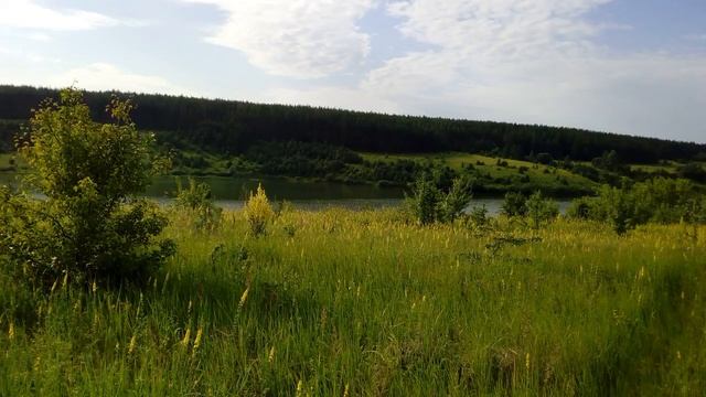 Река Дон , около Задонска Липецкая обл и окрестности. смотреть онлайн