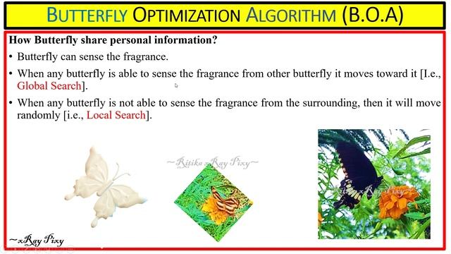 Learn Butterfly Optimization Algorithm (B.O.A) | STEP-BY-STEP | Explanation ~xRay Pixy смотреть онлайн