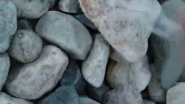 Fun-Four team. Часть 2 Рыбалка смотреть онлайн