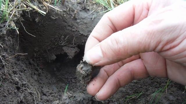 METAL DETECTING  XP DEUS VS MINELAB E-TRAC