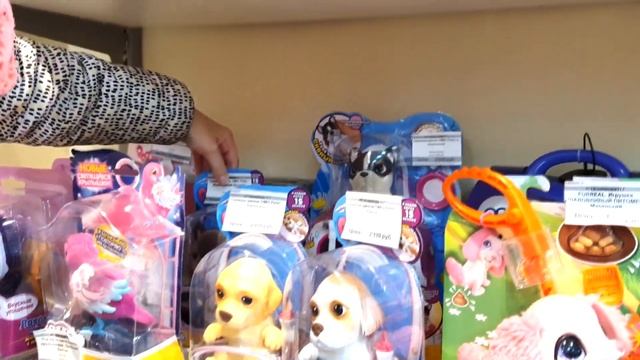 ДЕТСКИЙ МАГАЗИН "ГОРОД ИГРУШЕК" Обзор новинок Мне купили СКВИШИ ЩЕНОК СОБАКА OMG смотреть онлайн
