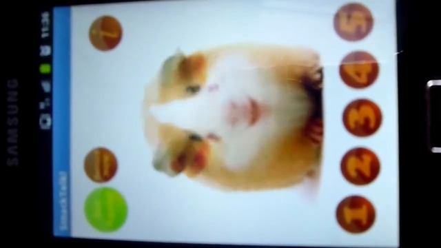 С днем рождения ЛЕДИ ГАГА.mp4 смотреть онлайн