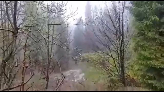 Beskidzka Grupa Terenowa Offroad смотреть онлайн