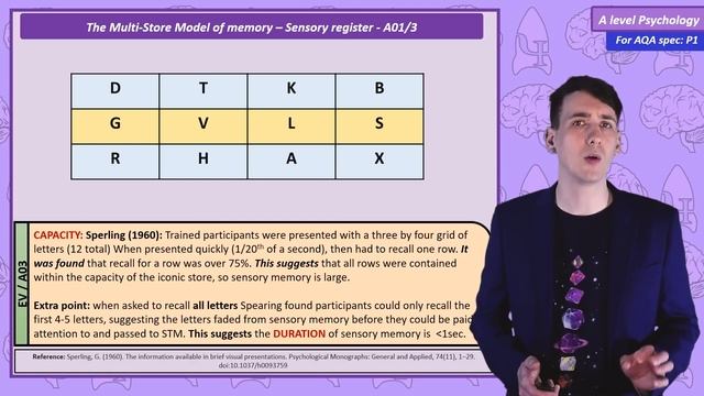 The multi store model of memory [AQA ALevel] смотреть онлайн