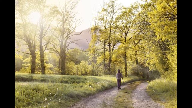 Сказочная спокойная медитативная музыку, фортепиано, для снятия стресса, релакс смотреть онлайн