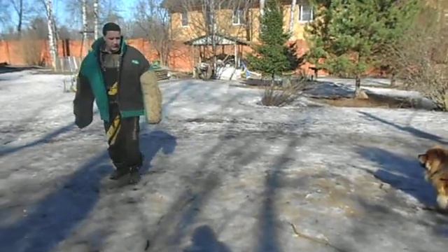 чау Эль-Дар Хэппи Бэби смотреть онлайн