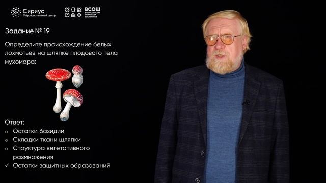 Разбор заданий школьного этапа ВсОШ 2023 года по биологии, 9 класс, 2 группа регионов смотреть онлайн