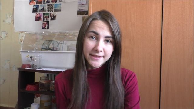 3 факта о джунгарских хомяках, о которых вы не знаете // Lisa Veta смотреть онлайн