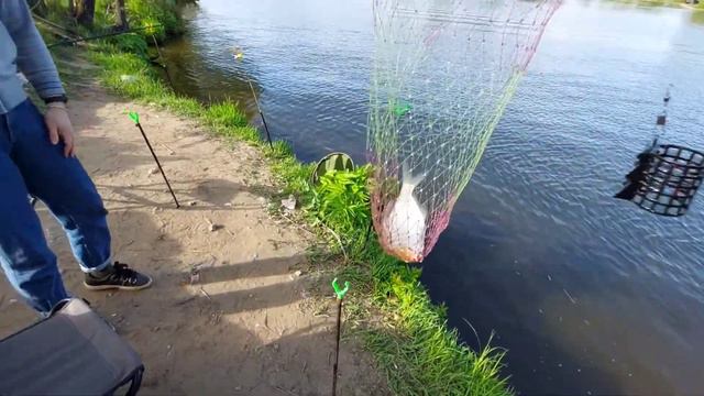 Рыбалка на фидер на Москва реке на леща. смотреть онлайн