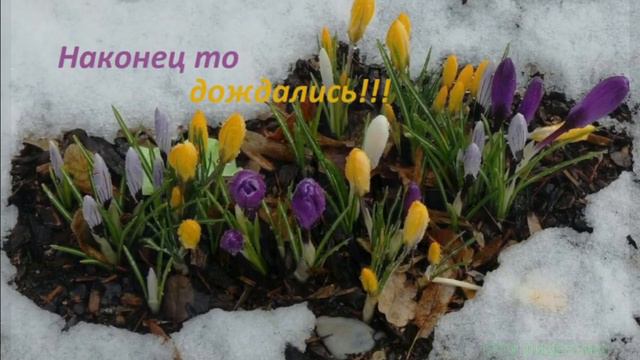 А ЗАВТРА ВЕСНА! ВЕСЕННЯЯ КАПЕЛЬ! смотреть онлайн