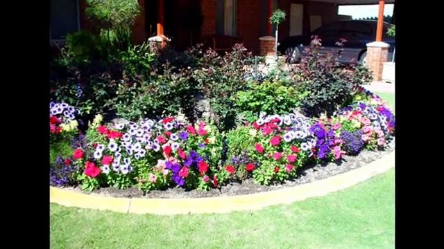 Петунии в дизайне сада, двора, крыльца и др смотреть онлайн