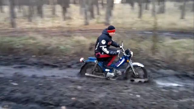 На мопеде в лесу смотреть онлайн