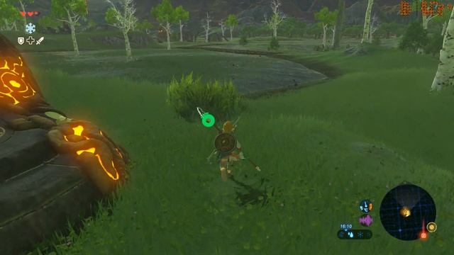 CEMU 1.7.5 | Zelda: Breath Of The Wild 5K 30FPS