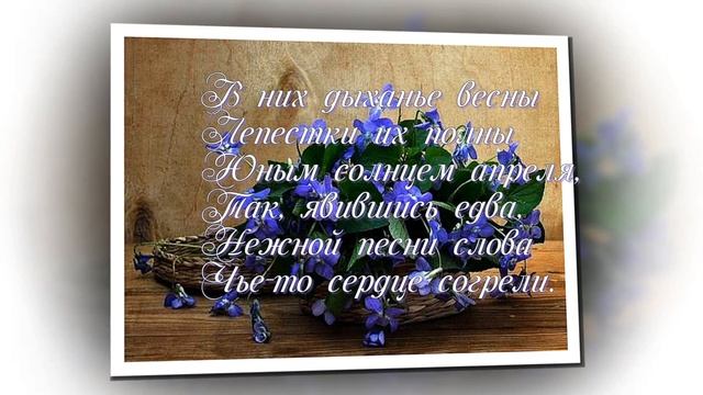 Купите фиалки исп. Виктория Иванова смотреть онлайн