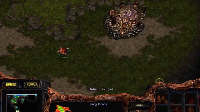 Starcraft 1.16.1 Campaña Random 1 #052 con Every y Kuro смотреть онлайн