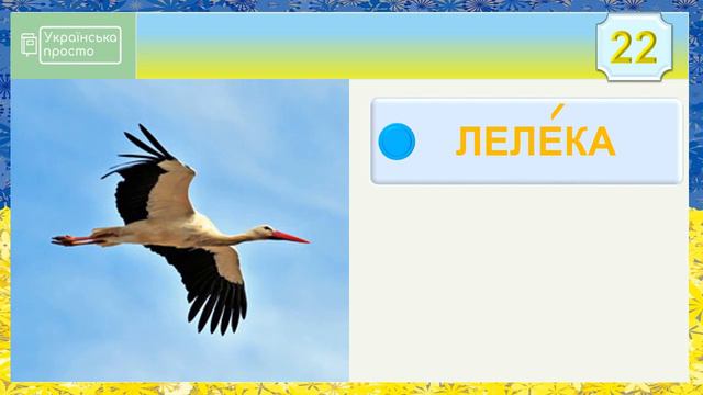 Птахи України/ Тематичні картки, початкові класи НУШ смотреть онлайн