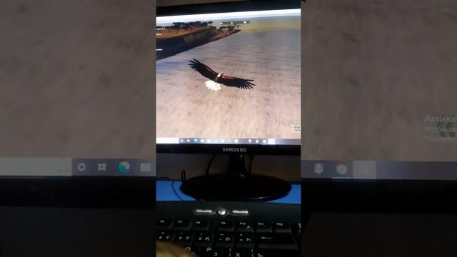 Как играть за рыбного орла в Wild savannah roblox ответ тут!!! смотреть онлайн