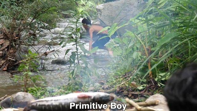 Survival In The Rainforest - Catch Fish In Water And Cooking Eating Delicious