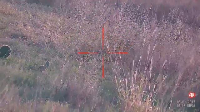 ШОК! Прицел с видеозаписью ATN X SIGHT II HD 3 14x смотреть онлайн