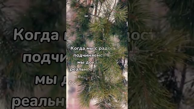 С добрым ноябрьским утром! Христианское пожелание! смотреть онлайн