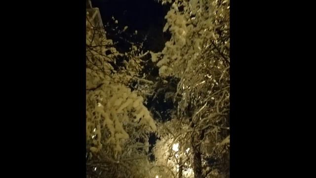 "Ты уехал, буду ждать...". Музыка и слова Маргариты Тарасовой. Поёт Алла Тарасова. смотреть онлайн