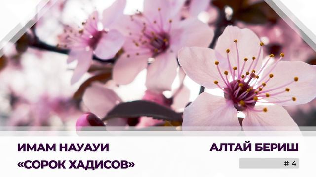 Сорок Хадисов - 4 (Три вида Единобожия. Столпы Ислама. Продолжение 2 хадиса). Алтай Бериш смотреть онлайн