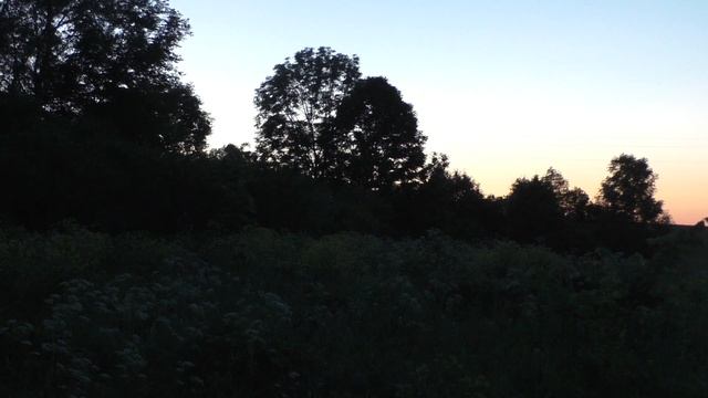 Как поёт соловей ночью / Пение соловья / Звуки природы смотреть онлайн