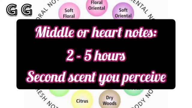 HOW TO MAKE PERFUME FROM START TO FINISH AT HOME | ALL YOU NEED TO KNOW ABOUT PERFUMERY  | G G & YO