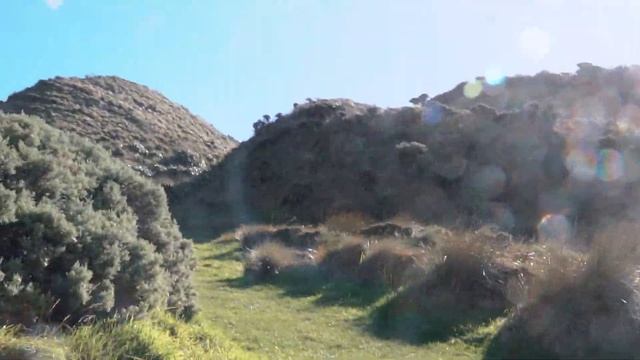 НОВАЯ ЗЕЛАНДИЯ | Поездка в г. Веллингтон смотреть онлайн