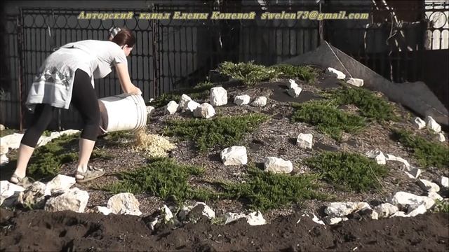 Садовый измельчитель AL-KO New Tec 2500R. Садовая техника. смотреть онлайн