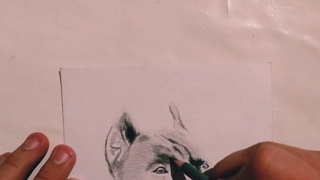 Как нарисовать собаку/ Буду показывать как нарисовать собаку дома смотреть онлайн