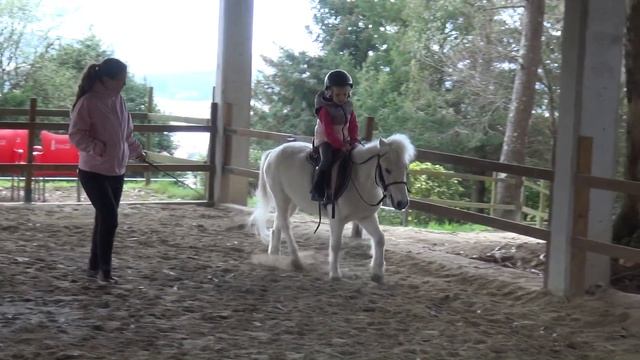 Primeros pasos en la Escuela de Equitación Valeria y Pony Ten Первые шаги в Школе Верховой езды смотреть онлайн