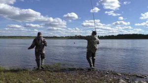 Хорошо отловились по ОКУНЮ и ХАРИУСУ на реке Печора / Рыбалка удалась
