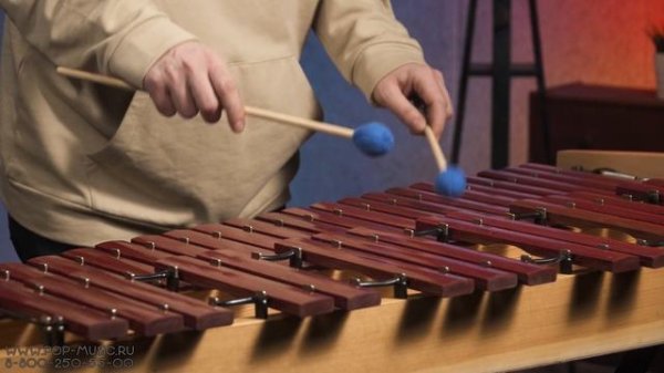 Маримба STAGG MARIMBA 40 SYN
