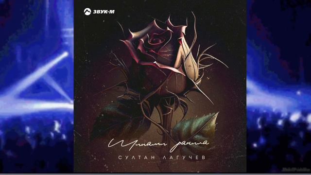 Султан Лагучев - Шипами ранила (KalashnikoFF Mix) смотреть онлайн