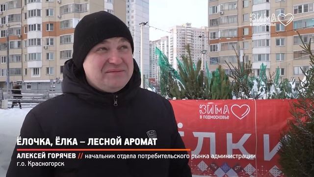 КРТВ. Ёлочка, ёлка – лесной аромат смотреть онлайн