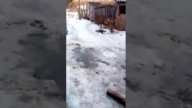 Много желаний но мало возможностей смотреть онлайн