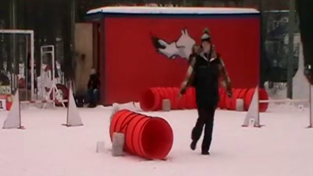 Д-1 Large - Багаева Александра и западно-сибирская лайка Жульена