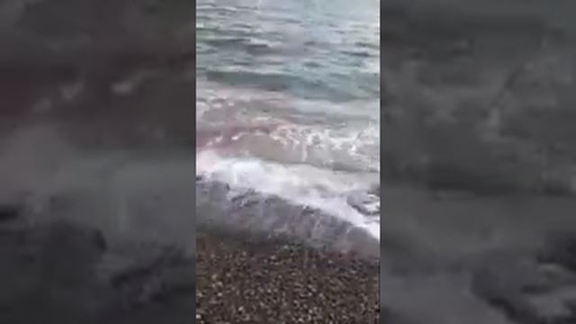 Рыбалка кобулети смотреть онлайн