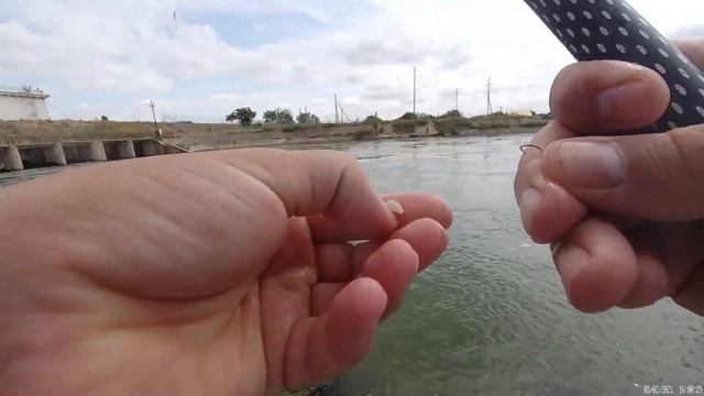 Трофейный сазаняка! Оросительный канал радует! Змейки одолевают! смотреть онлайн