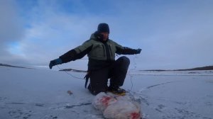 МЕШОК НАЛИМА ЗА 20 минут НА СТУКАЛКУ!!!