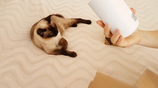 СВЕТИЛЬНИКИ с Алиэкспресс: плоские, трековые, накладные точечные. Выбираем освещение для дома смотреть онлайн