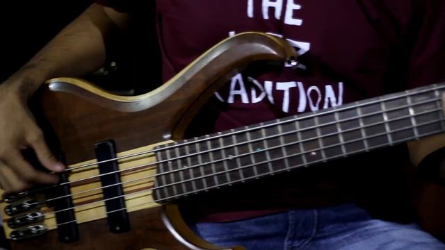 Kangaroo - Fabio Lima (Bass Cover) смотреть онлайн