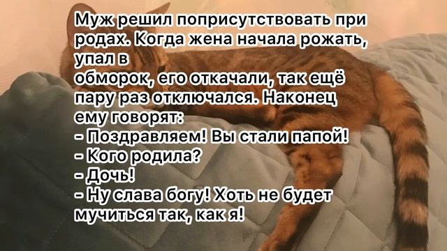 Вовочка посмотри в окно. смотреть онлайн