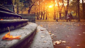 Yves Montand - «Les Feuilles Mortes»