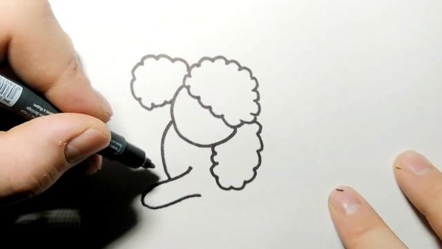 Как нарисовать пуделя смотреть онлайн