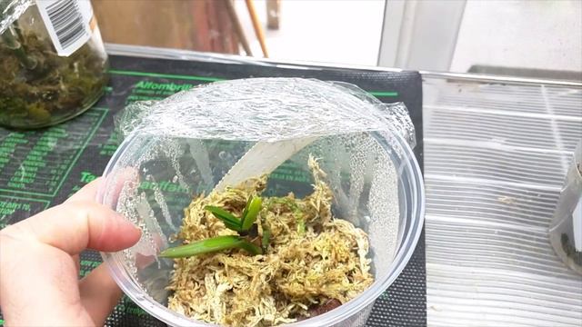 February 2019 Updates